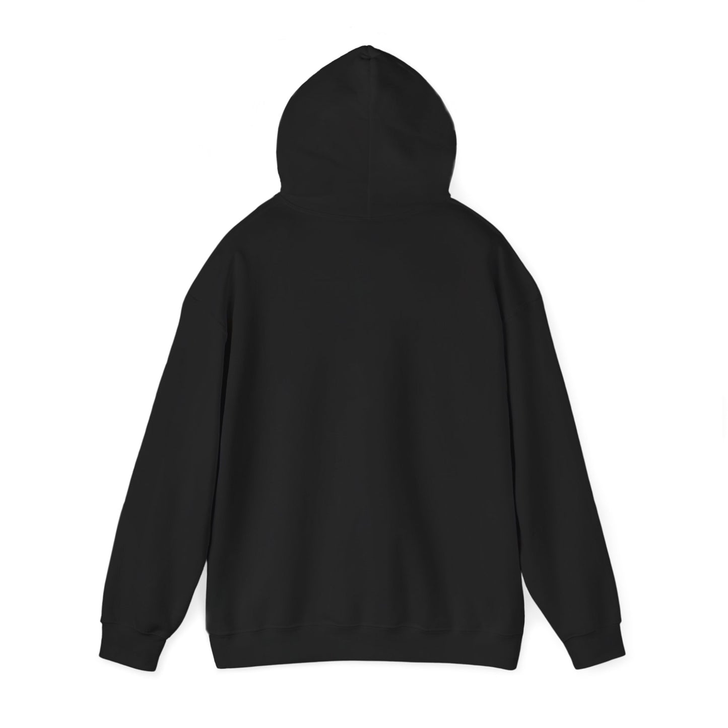 Fly In, Fly Out Retro Caravan Hoodie - Vintage Camper Travel Sweatshirt | FIFO