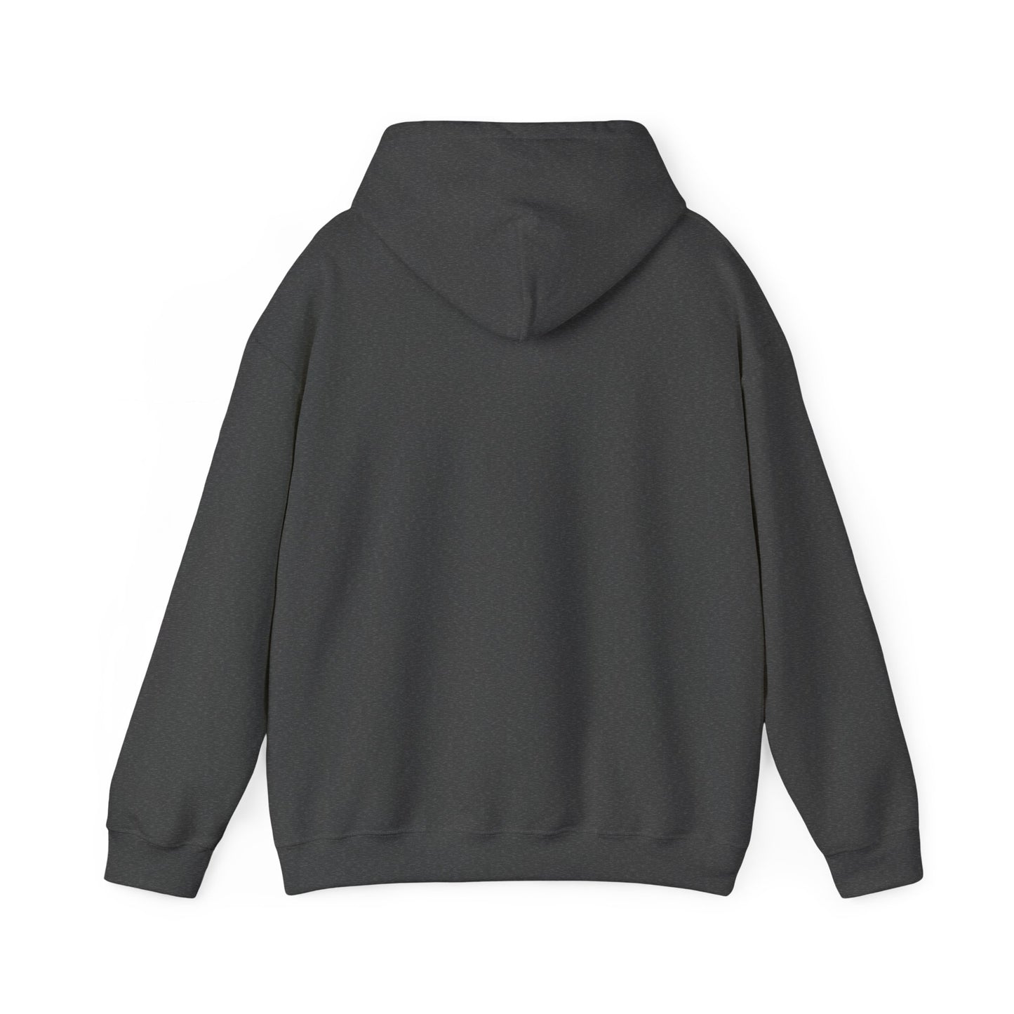 Fly In, Fly Out Retro Caravan Hoodie - Vintage Camper Travel Sweatshirt | FIFO