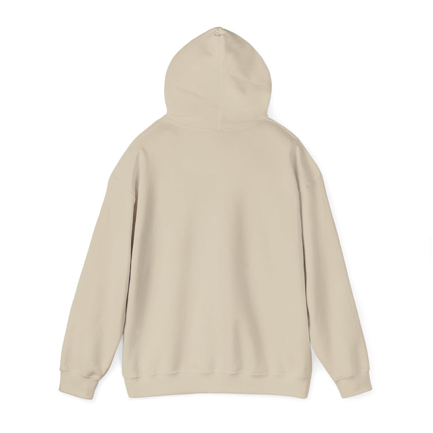 Fly In, Fly Out Retro Caravan Hoodie - Vintage Camper Travel Sweatshirt | FIFO