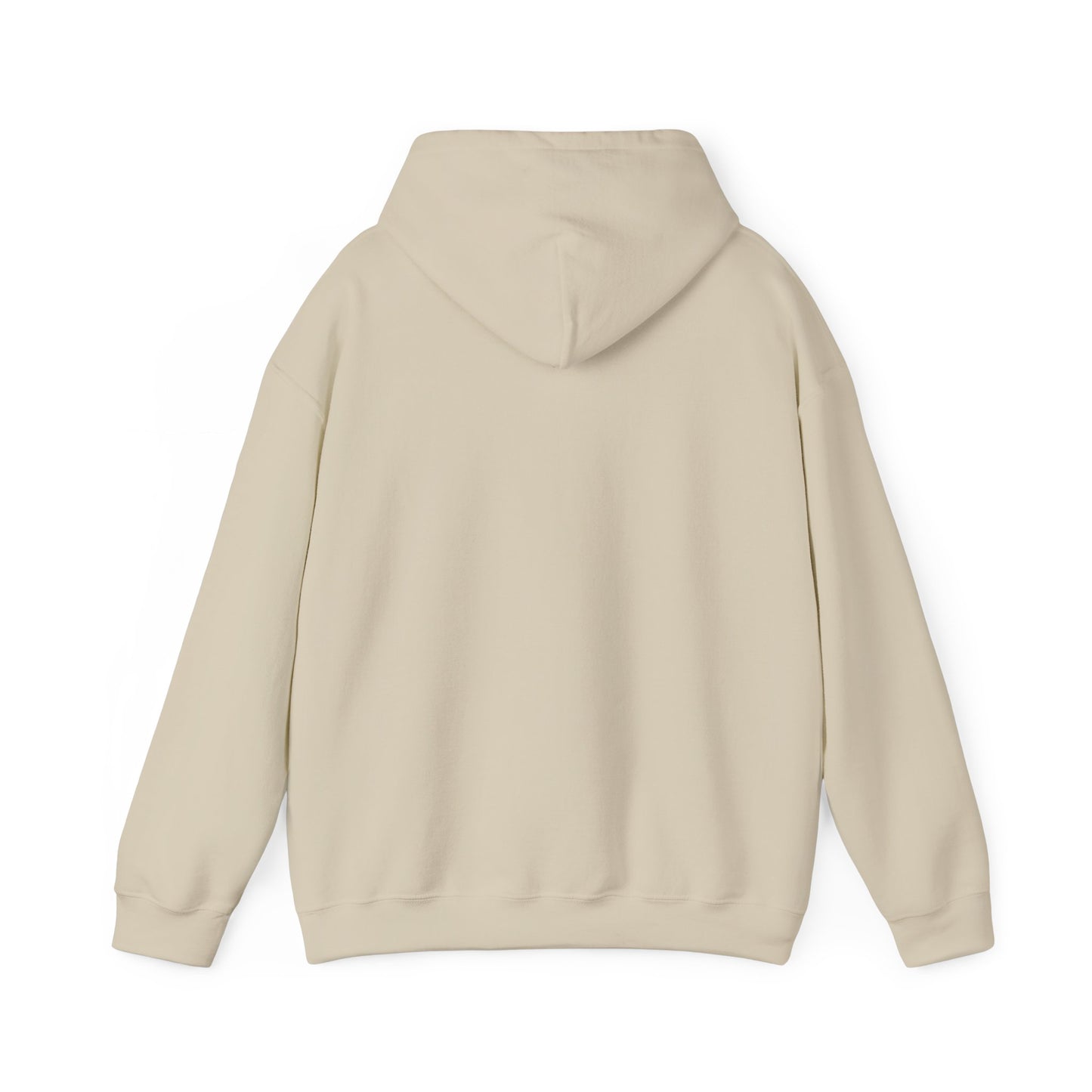 Fly In, Fly Out Retro Caravan Hoodie - Vintage Camper Travel Sweatshirt | FIFO