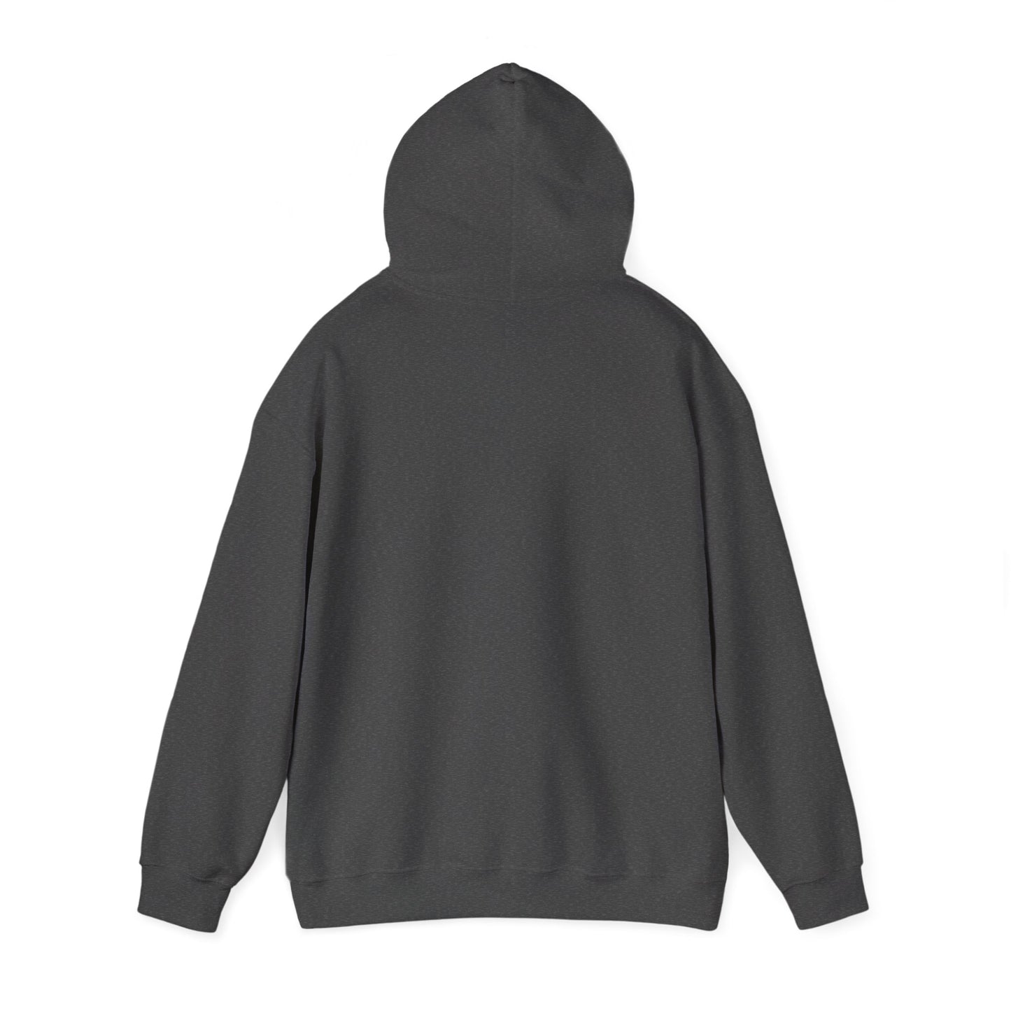 Fly In, Fly Out Retro Caravan Hoodie - Vintage Camper Travel Sweatshirt | FIFO